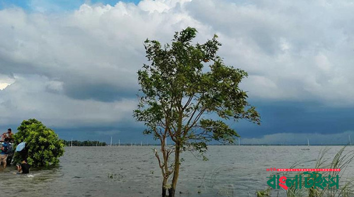 যমুনার পানি দ্রুত বাড়ছে, তলিয়ে যাচ্ছে ফসলি জমি